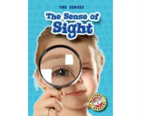 The_Sense_of_Sight